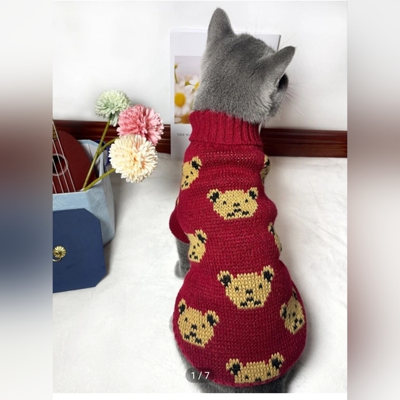 Pet Teddy Bear Sweater - Picture 1 of 9